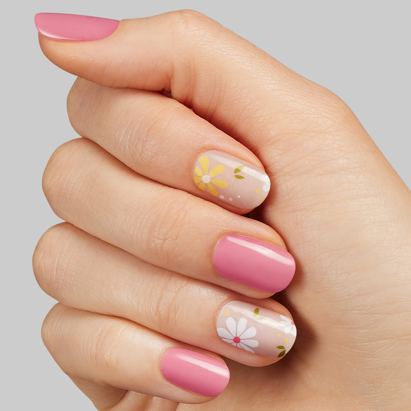 Dreamy Daisy - Kleo Kolor