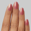 Rose Ambition - Kleo Kolor