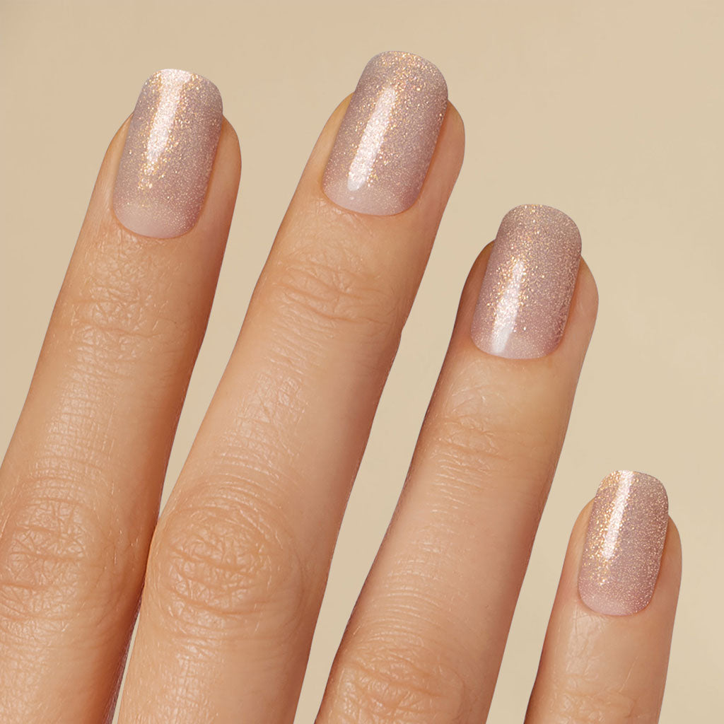LED Intro Set: Fall Neutral