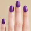 Purple chrome finish LED gel strips