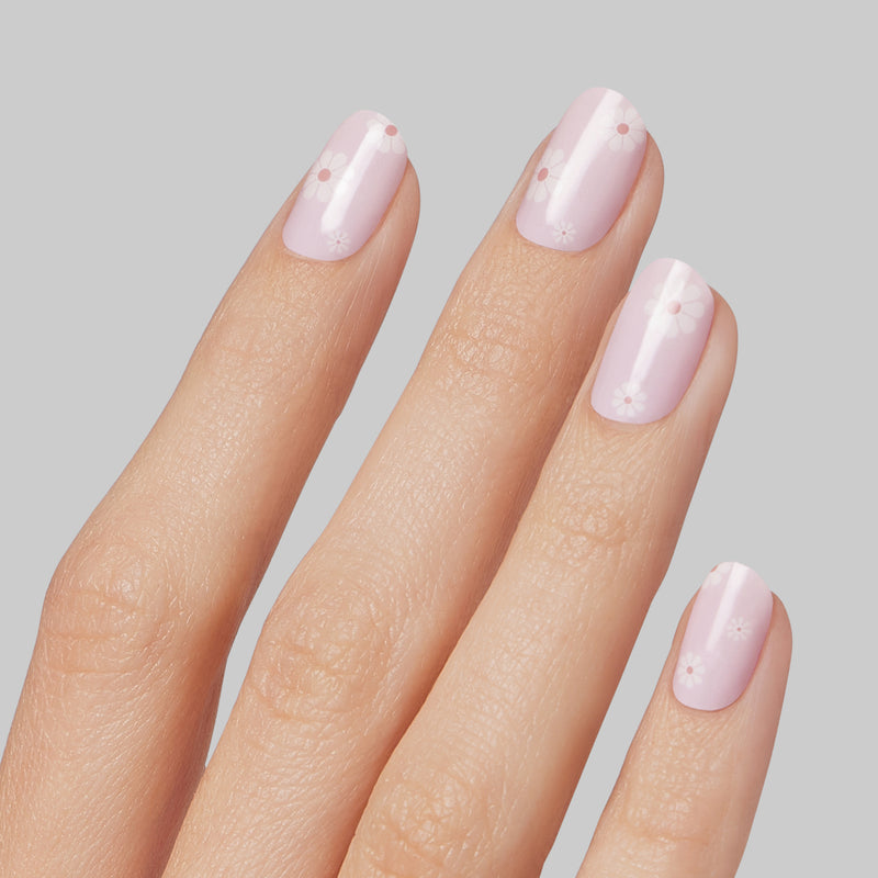 Decadent Daisy - Kleo Kolor