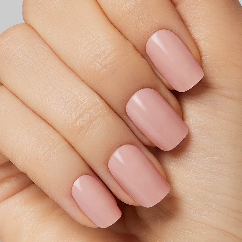 Pure Cashmere - Kleo Kolor