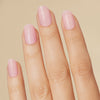 Pink Indulgence