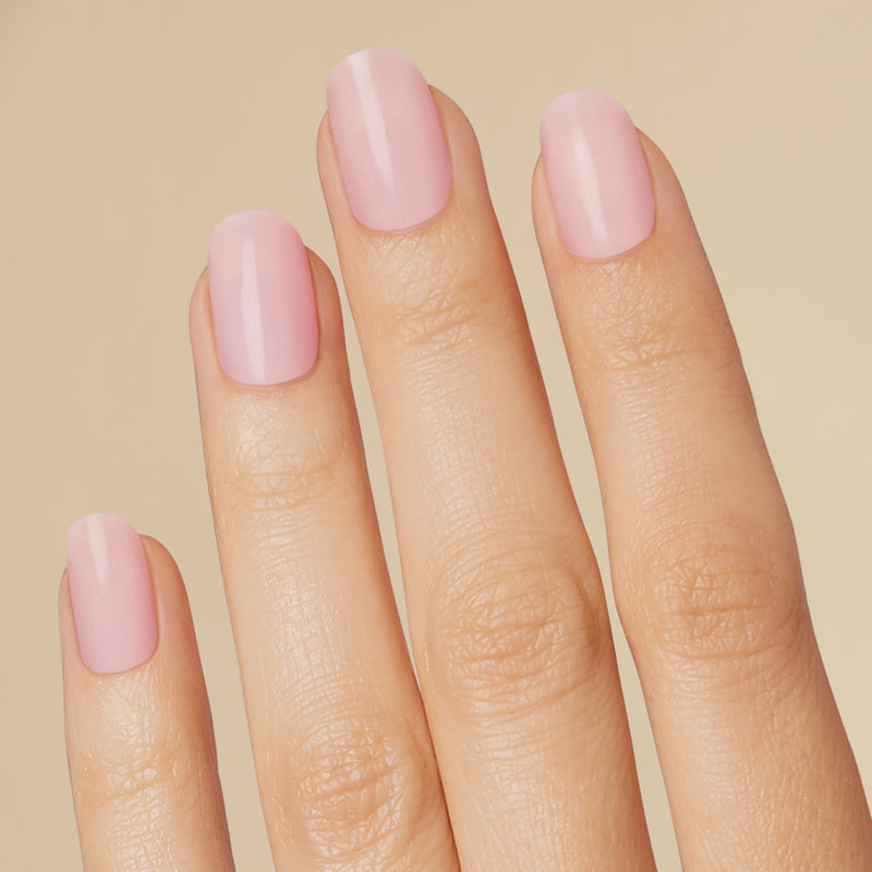 Pink Indulgence