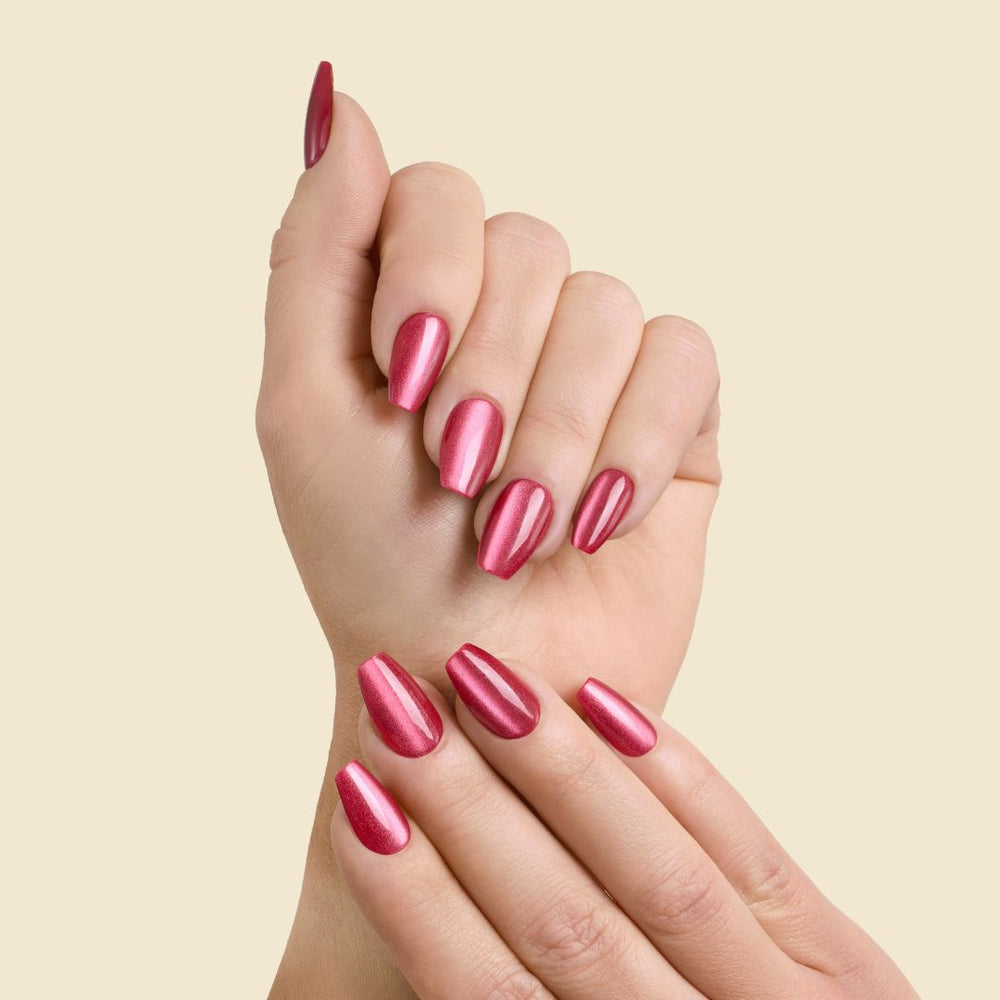 Editor in Chic