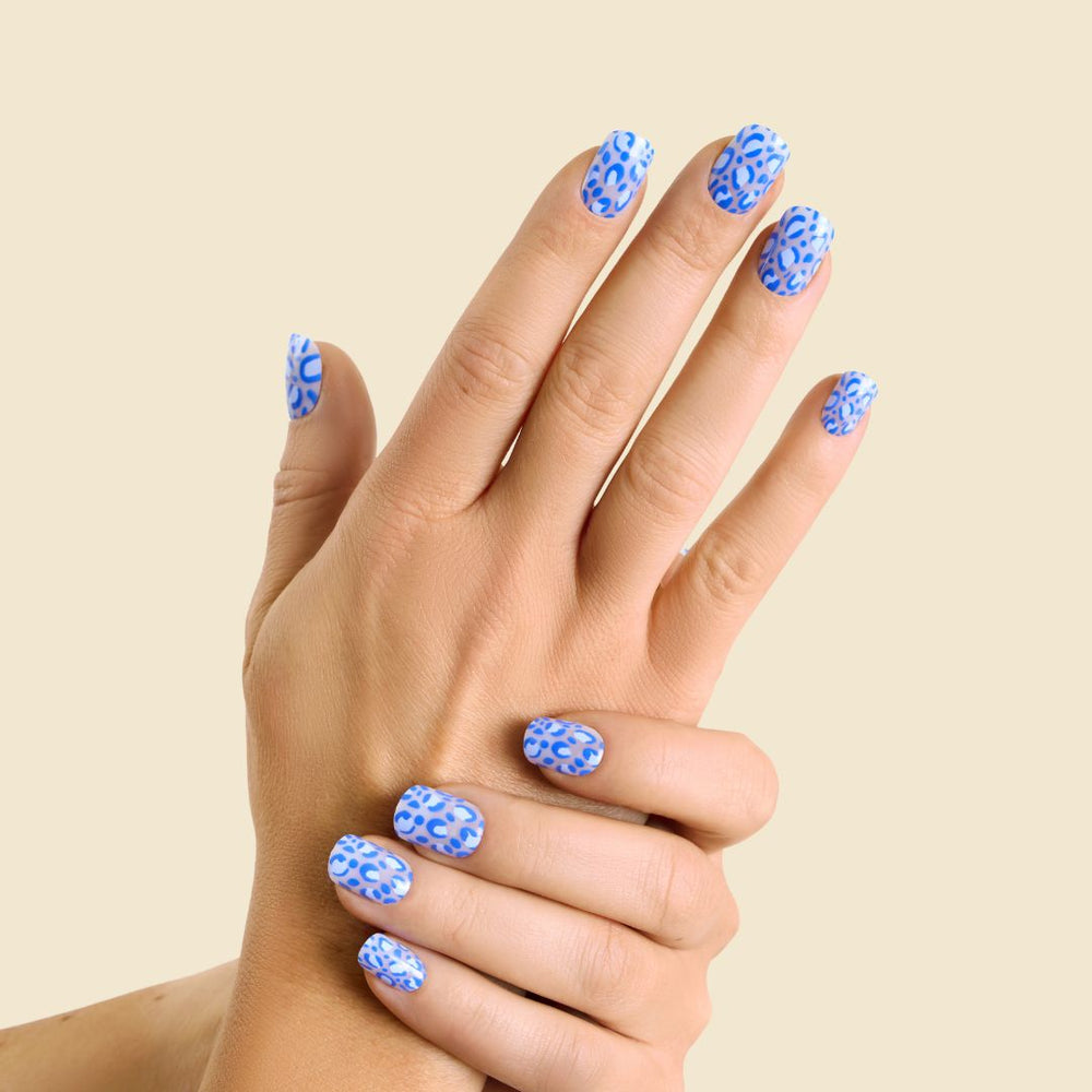 Cool Cat