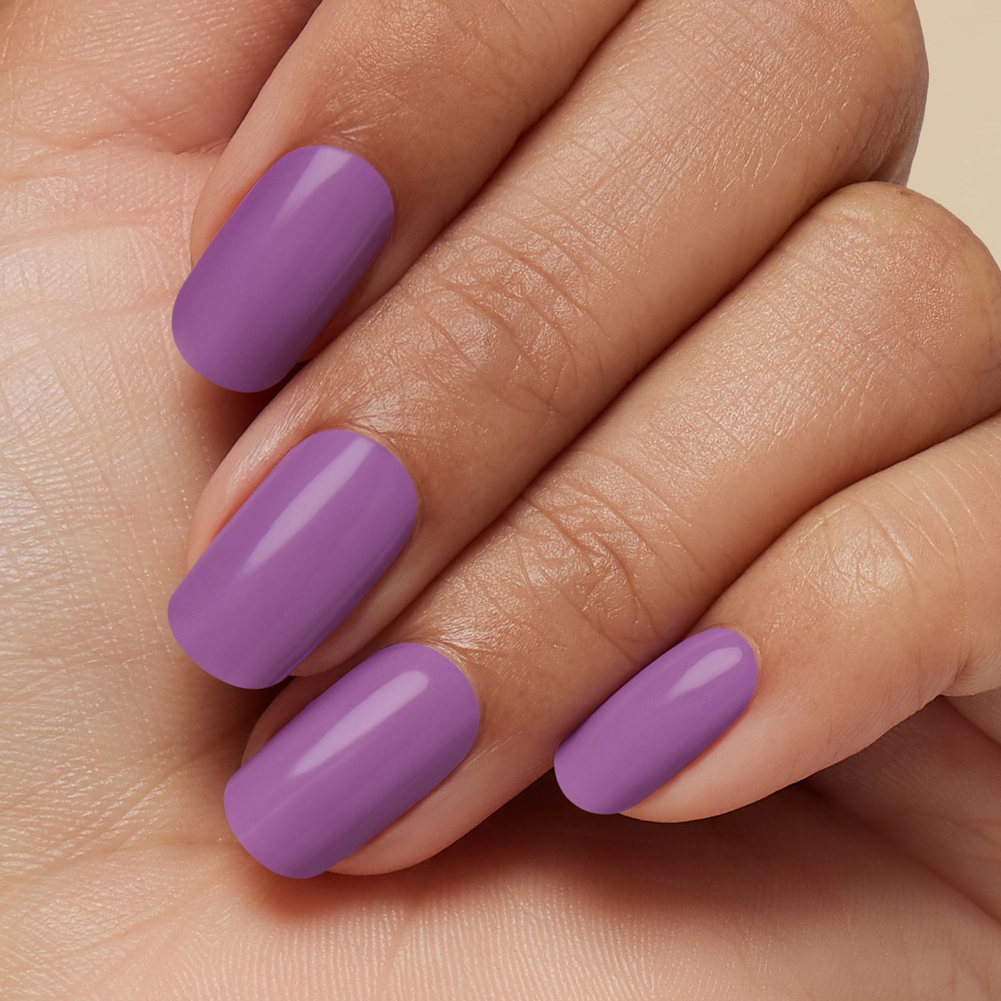 Violet Vibes