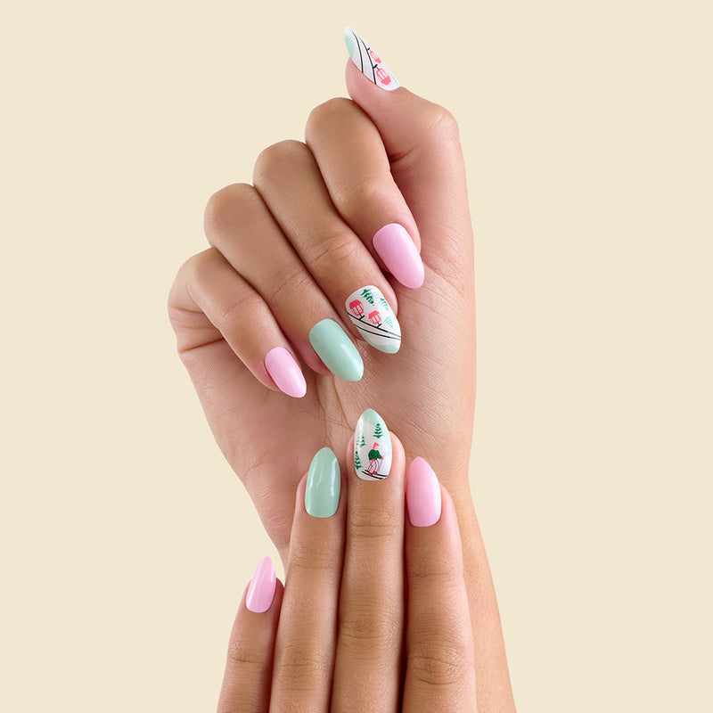 LED Gel Nails Prelaunch Bundle
