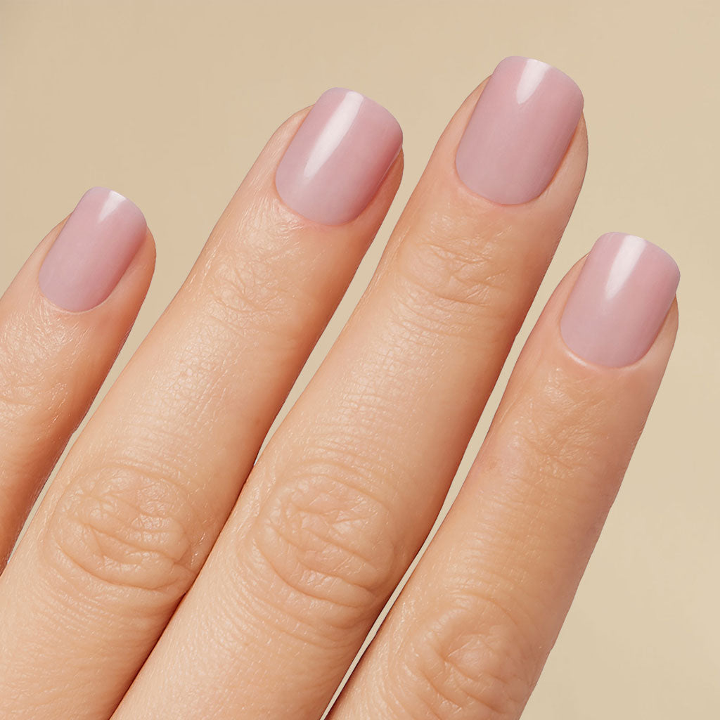 Press-On Intro Set: Fall Neutrals