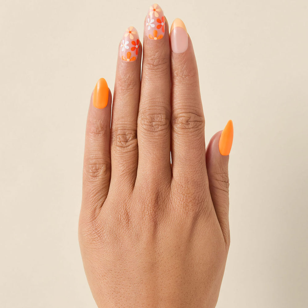 Dreamsicle Petals