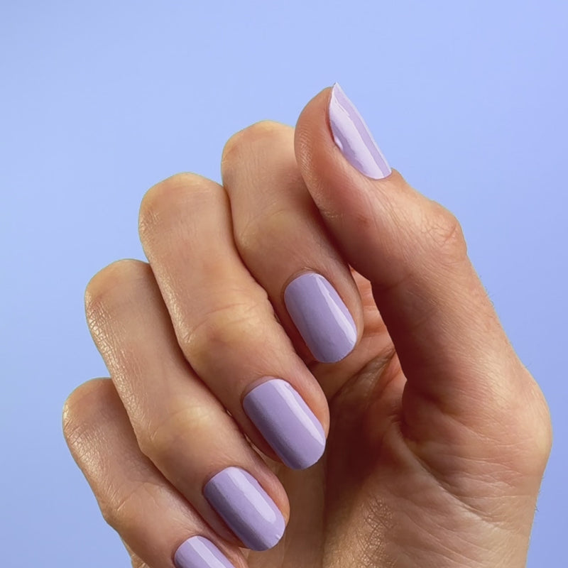 Lavender Life