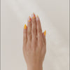 Dreamsicle Petals