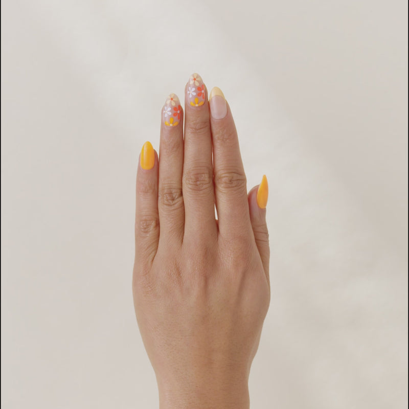 Dreamsicle Petals